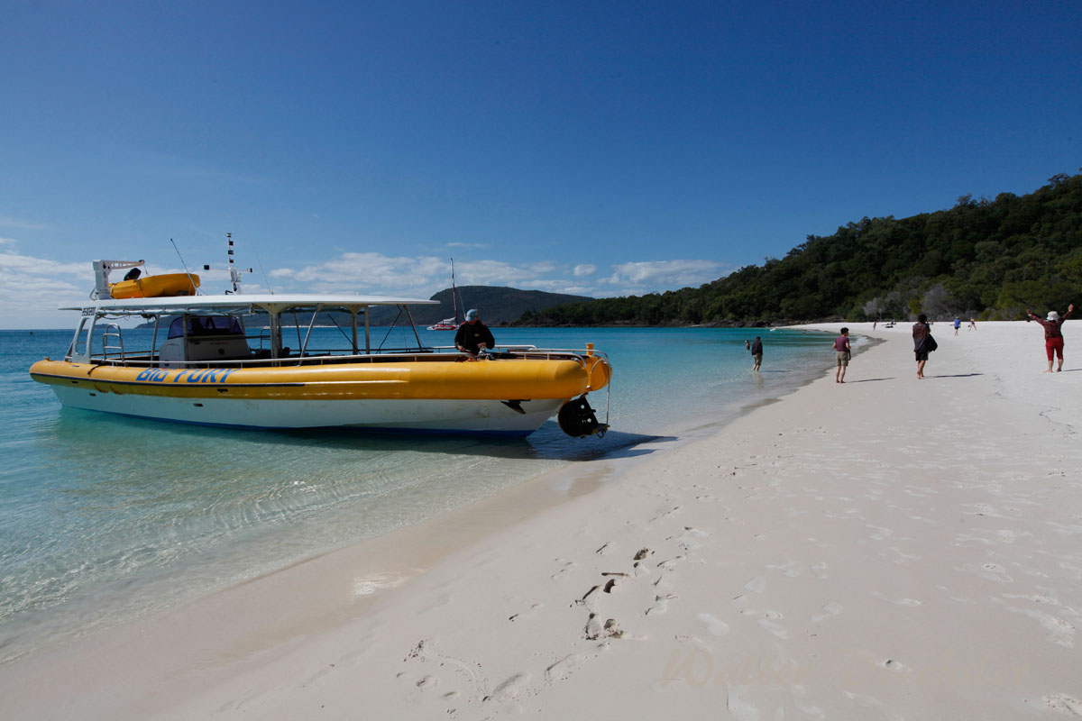 White Sand Beach