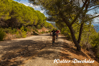 Mountainbike