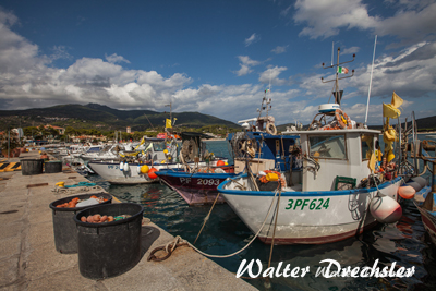 Hafen Marina de Campo