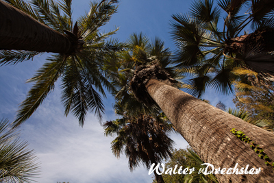 Botanischer Garten