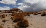 unterwegs in der Atacama