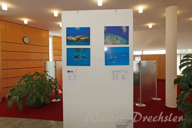 Ausstellung Sparkasse Haimhausen